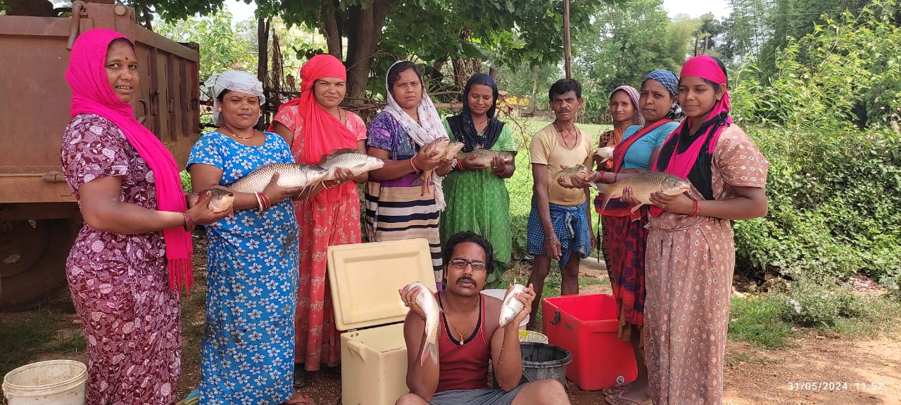 सफलता की कहानी मछली पालन से श्री गणेश महिला स्व सहायता समूह की आर्थिक एवं सामाजिक स्थिति हुई मजबूत